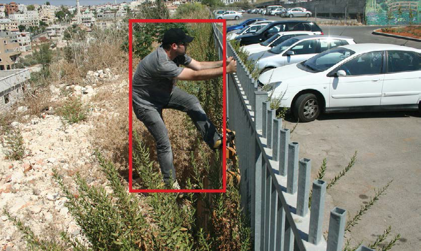 Real Time Detection